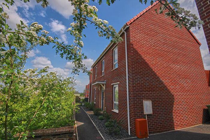 3 Bedroom Detached House For Sale In Tithebarn Way, Exeter, EX1