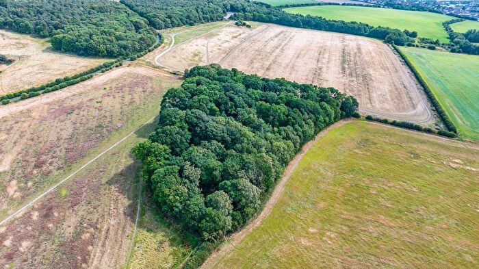 Land For Sale In Masterton Wood, Dalkeith, Midlothian, EH22