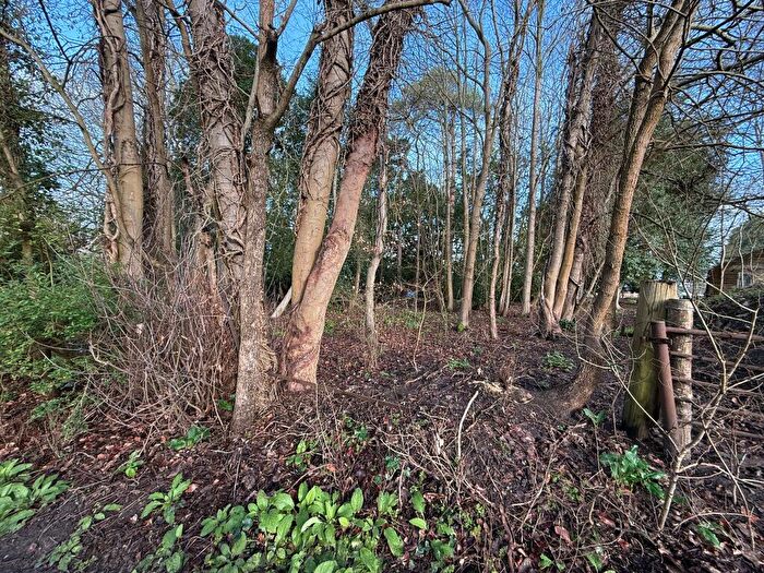 Land For Sale In Sutton Green, GU4