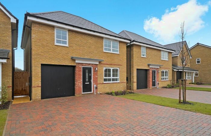 4 Bedroom Detached House To Rent In Sheerness Way, Hampton Beach, Peterborough, PE7