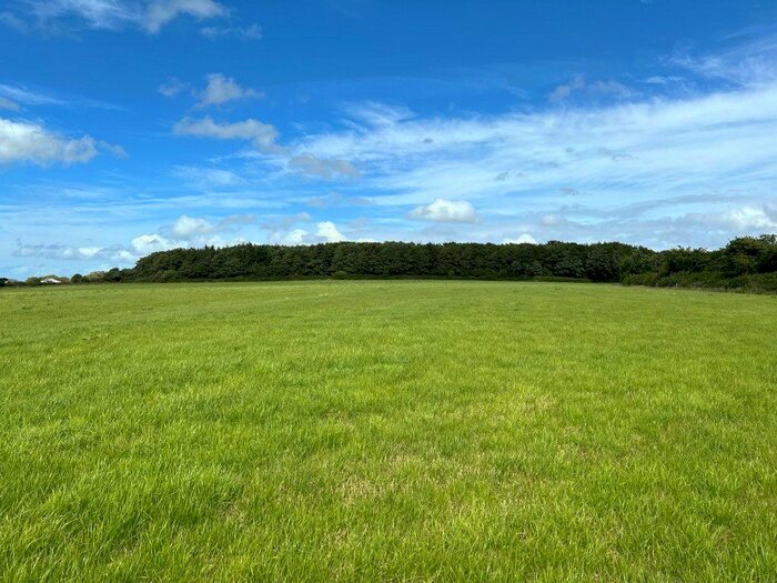 Land For Sale In Holsworthy, Devon, EX22