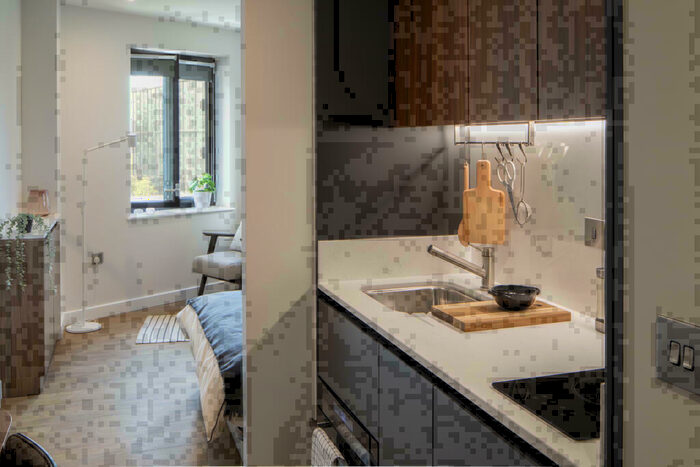 Studio To Rent In College Road, East Croydon, London, CR0