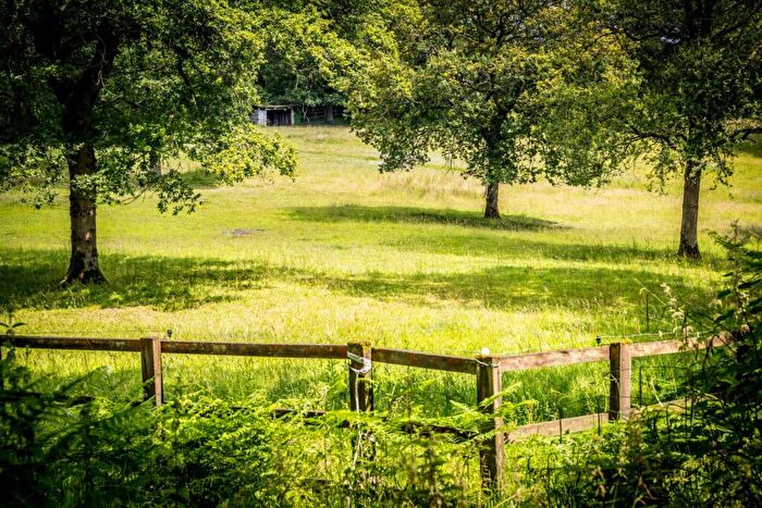 5 Bedroom Detached House For Sale In Ewhurst, Surrey, GU6