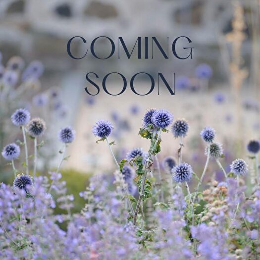 2 Bedroom Flat To Rent In Moir Terrace, Musselburgh, East Lothian, EH21