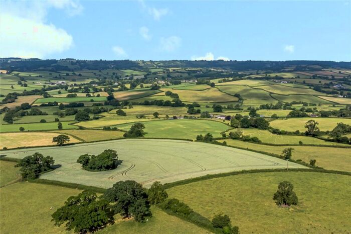 Land For Sale In Membury, Axminster, Devon, EX13