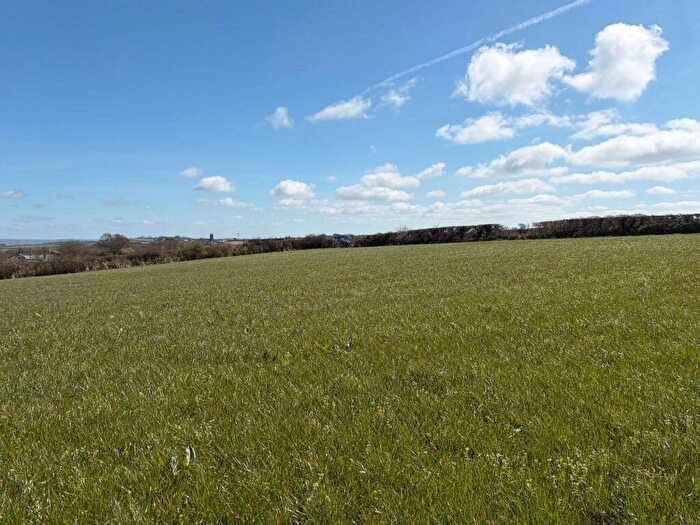 Land For Sale In Parkham, Bideford, EX39