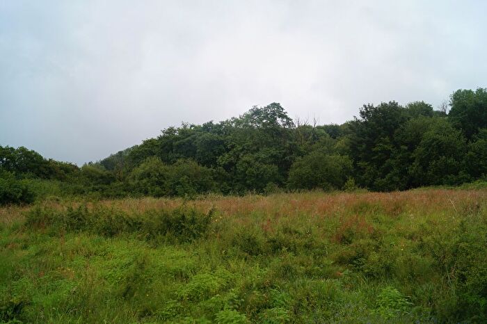 Land For Sale In Pontwelly, Llandysul, SA44