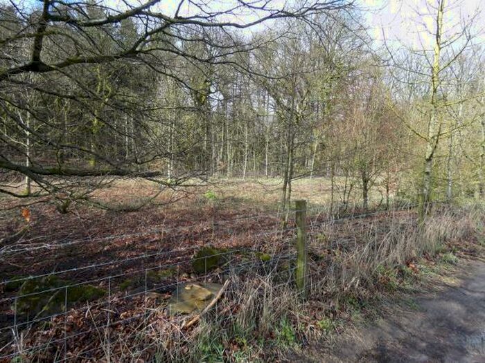 Land For Sale In Land At Long Causeway, Sheffield, S10