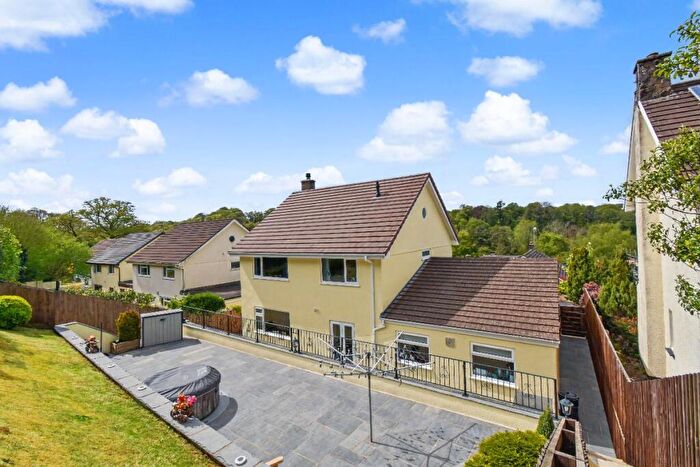4 Bedroom Detached House For Sale In Leeze Park, Okehampton, EX20