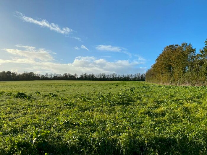 Land For Sale In Chapel Amble, PL27