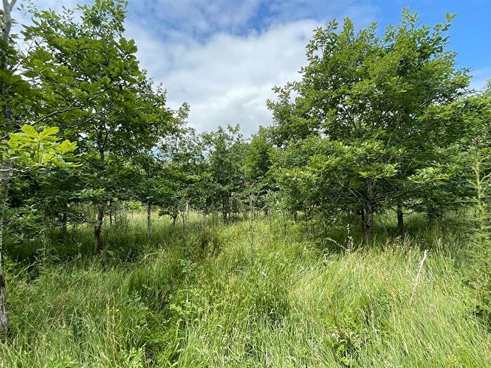 Farm Land For Sale In High Bickington, Umberleigh, EX37