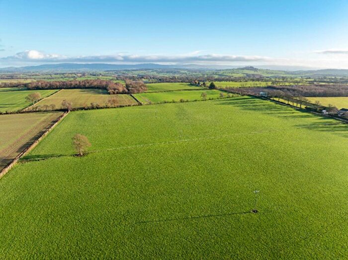 Farm Land For Sale In Land At Chapel Hill, CA4