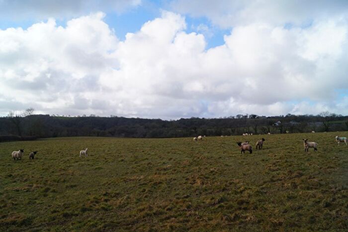 Land For Sale In Penybryn, Cardigan, SA43