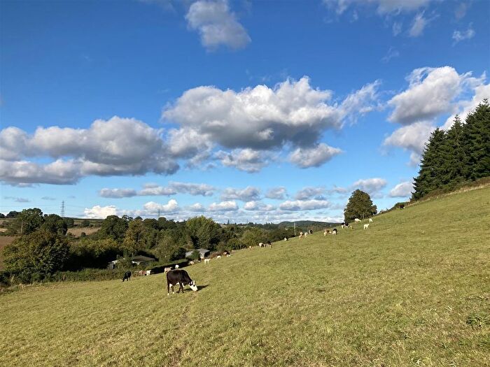Land For Sale In Tuck Mill Lane, Marstow, Ross On Wye, HR9