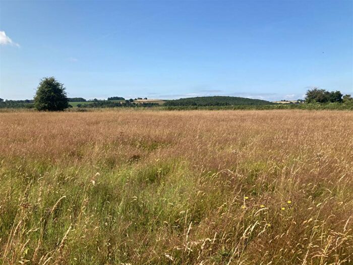 Farm Land For Sale In Hereford, HR2