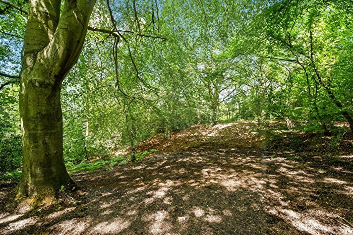 Land For Sale In Straight Mile, Ampfield, Romsey, SO51