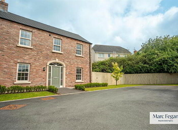3 Bedroom Semi-Detached House For Sale In Tarry Wood, Lurgan, BT67