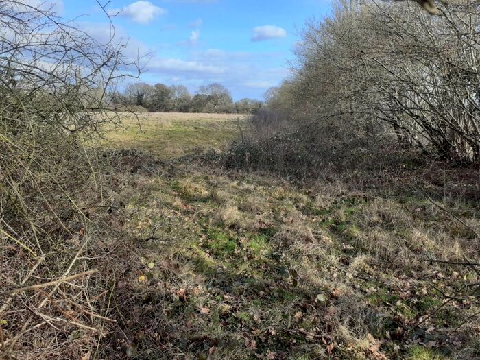 Land For Sale In Pikes Lane, Crowhurst, Lingfield, RH7