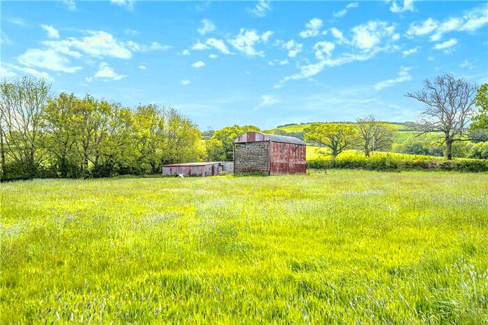 Land For Sale In Whitchurch Canonicorum, Bridport, West Dorset DT6