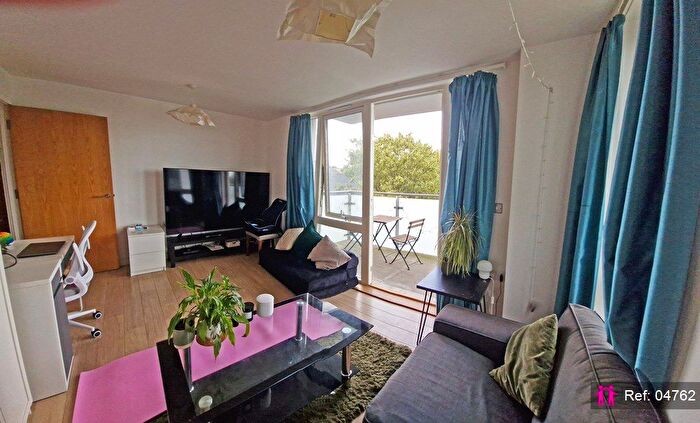 1 Bedroom Flat To Rent In Robsart Street, London, SW9