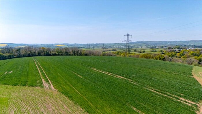 Land For Sale In Lot - Land At Marjery Cross, Ermington, Ivybridge, Devon, PL21