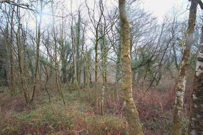 Land For Sale In . Acres Of Woodland To The North Of Pontneathvaughan Road, Glynneath, Neath, SA11