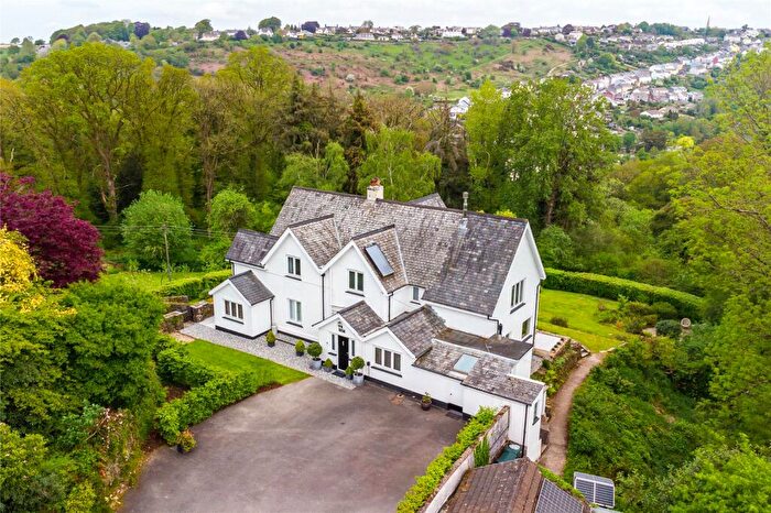 4 Bedroom Detached House For Sale In Torrington, Devon, EX38