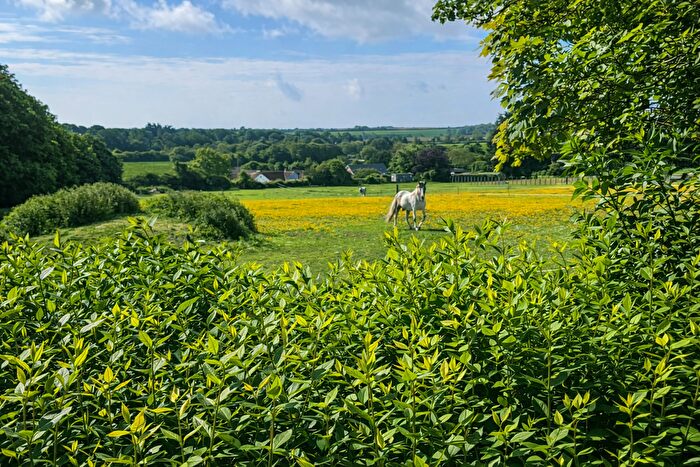 3 Bedroom Equestrian Property For Sale In Cedar View, Martin, Dover, Kent, CT15