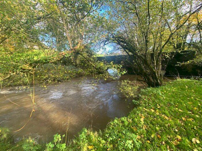 Land For Sale In Thornbury, Holsworthy, EX22