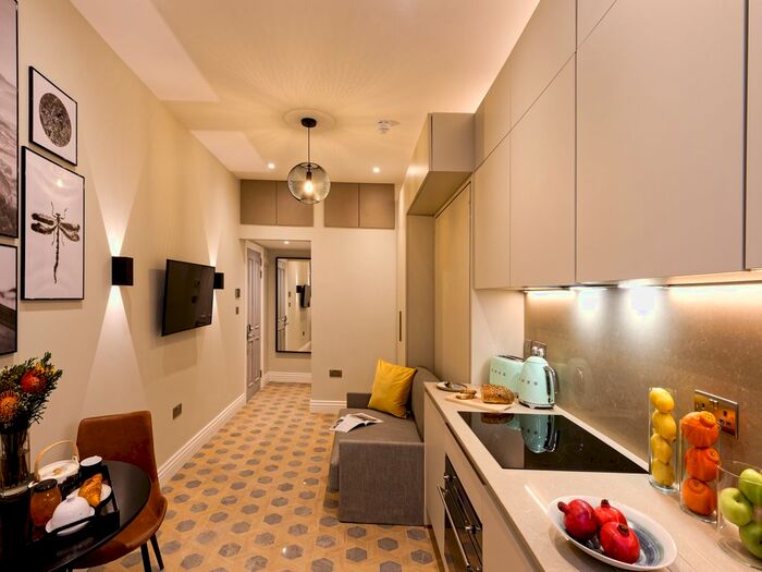 Studio To Rent In Nottingham Place, Marylebone, London, W1U