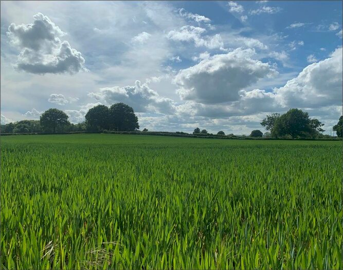 Land For Sale In Monkland, Leominster, HR6