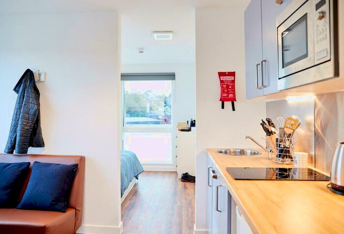 Studio To Rent In Hollingdean Road, Brighton, BN2