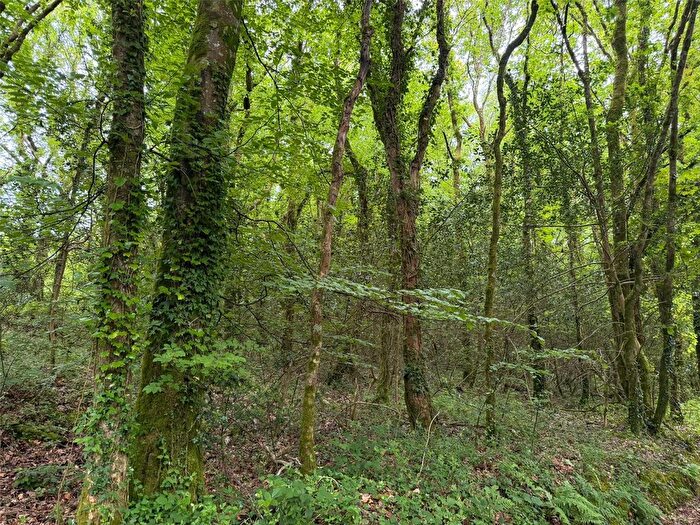 Land For Sale In Clapper Bridge, Quethiock, Saltash, Cornwall, PL12