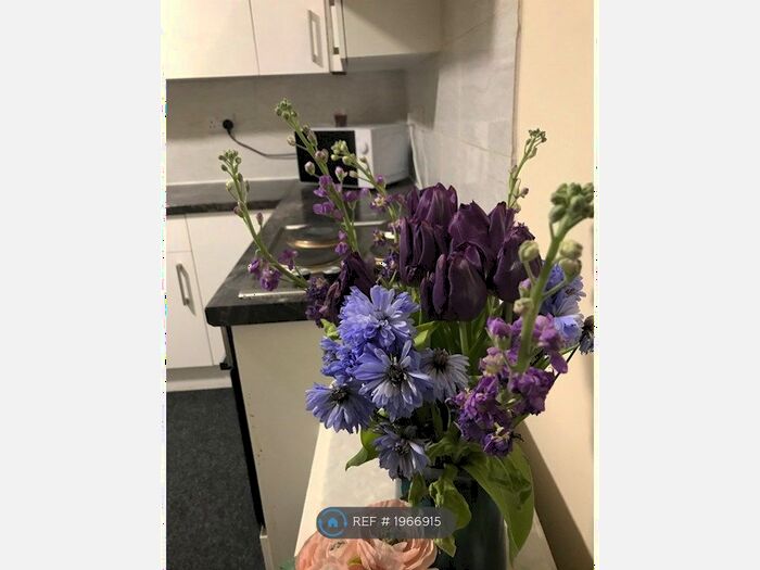 1 Bedroom Flat To Rent In Crookes Valley Road, Sheffield, S10