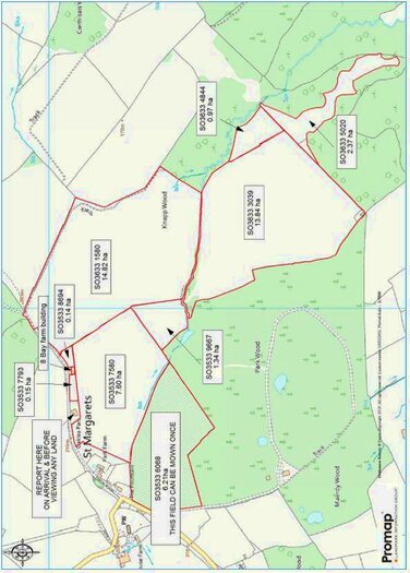 Land For Sale In Newton St Margarets, HR2