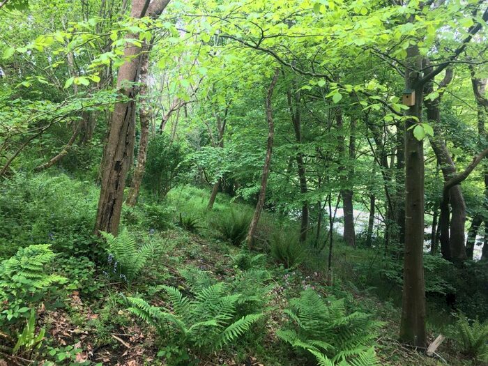 Farm Land For Sale In Braunton, EX33