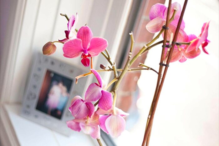 2 Bedroom Apartment To Rent In Victoria Park Winton, BH9