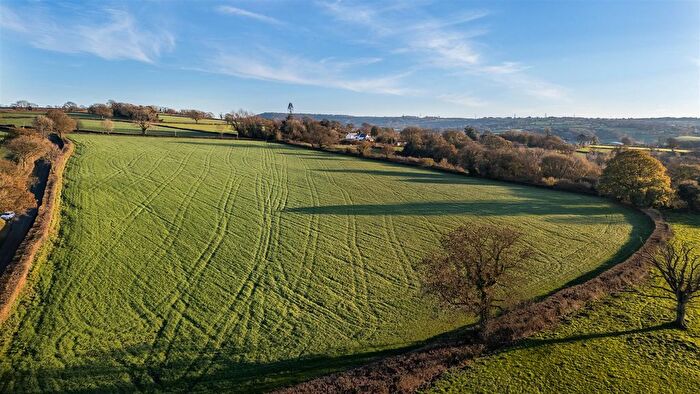 Land For Sale In Land At Herridge Farm, Holditch, Chard, TA20