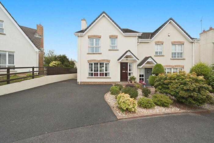3 Bedroom Semi-Detached House For Sale In Drummond Brae, Ballynahinch, BT24