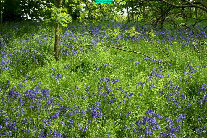 2 Bedroom Detached Bungalow To Rent In Craigs Chalet Park, Williamscraig, Linlithgow, EH49