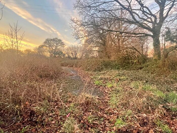 Land For Sale In Land Rear Of Sportsmans Close, Treburley, Launceston, Cornwall, PL15
