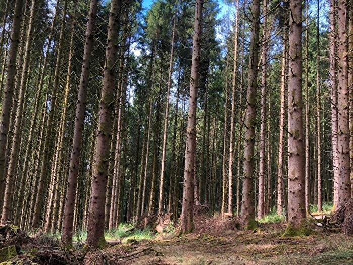 Land For Sale In Stoodleigh, Tiverton, Devon, EX16