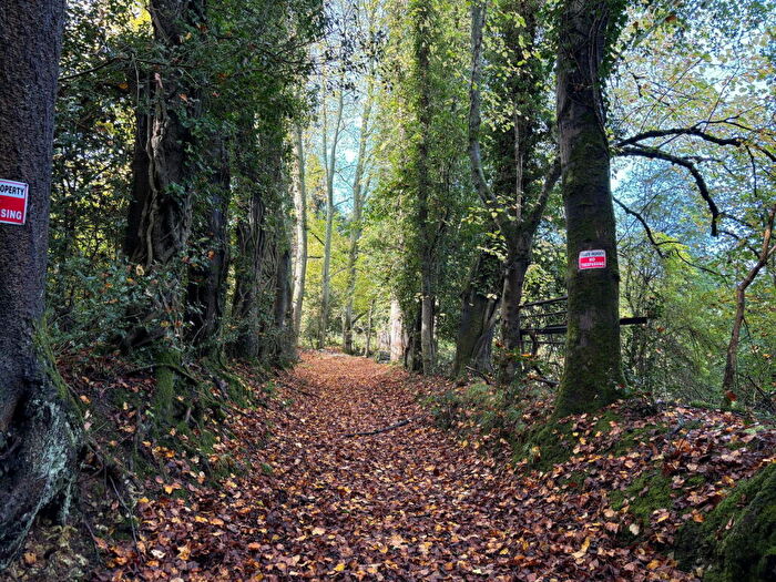 Land For Sale In Cobblershill, Little Hampden, Great Missenden, HP16