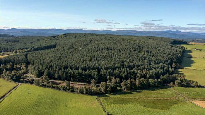 Land For Sale In Findrack Wood, Lumphanan, Aberdeenshire AB31