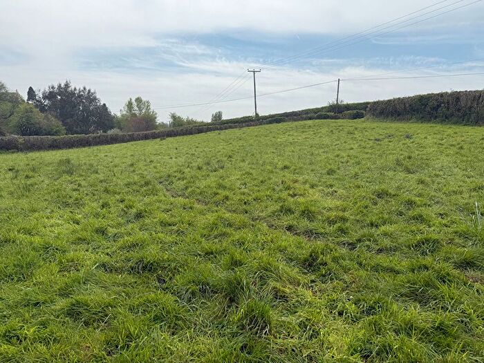 Land For Sale In Lot - Dipwell Farm, Ashburton, TQ13