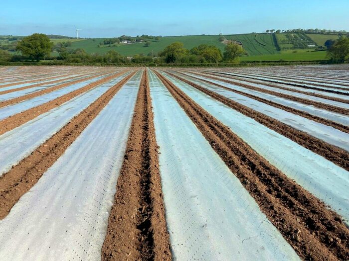 Land For Sale In Lezant, Launceston, Cornwall, PL15