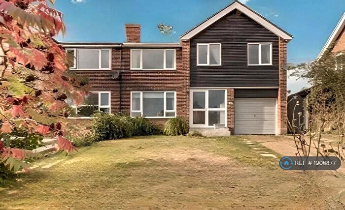 4 Bedroom Semi-Detached House To Rent In Booth Avenue, Colchester, CO4