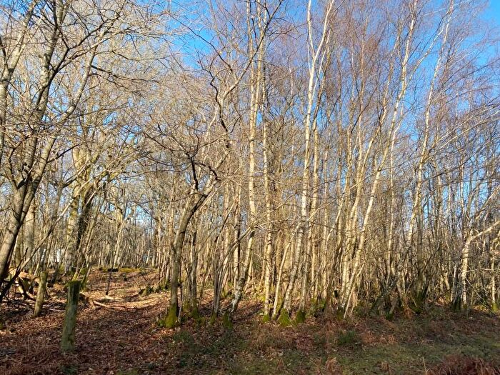 Land For Sale In Plot, Shernfold Wood, Flimwell, Wadhurst, East Sussex, TN5