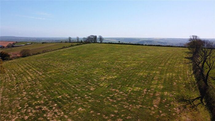 Land For Sale In Ermington, Ivybridge, Devon, PL21