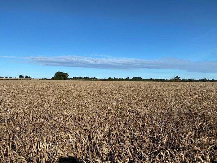 Farm Land For Sale In Manor Farm, Steane, Brackley, Northamptonshire, NN13